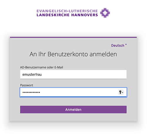 05_websso.png
